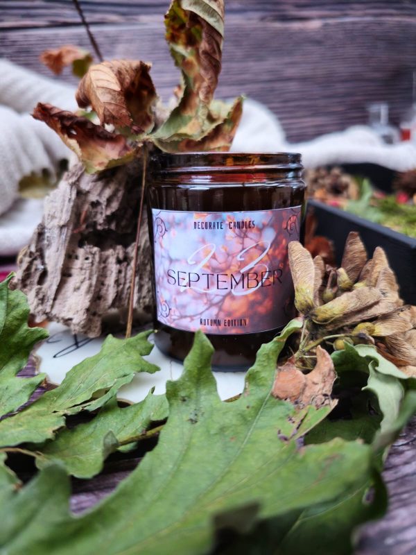 Autumn Edition Candles - Image 3