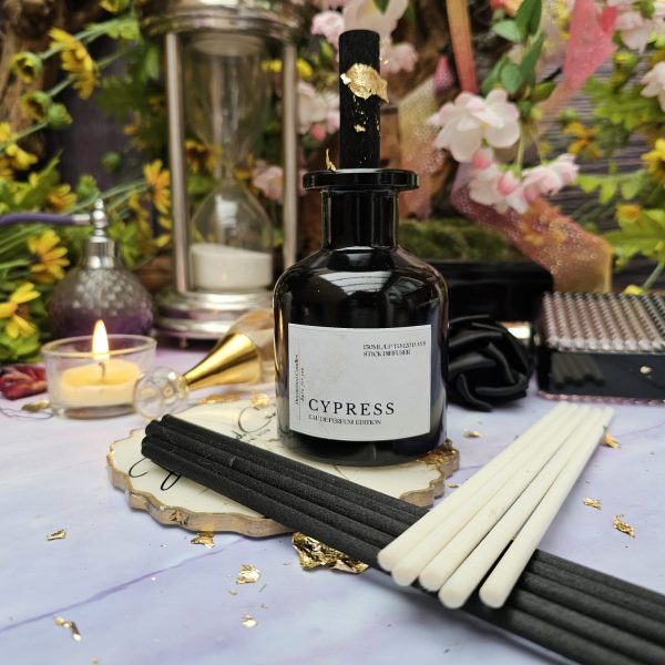 Perfume Inspired Diffuser - Image 6