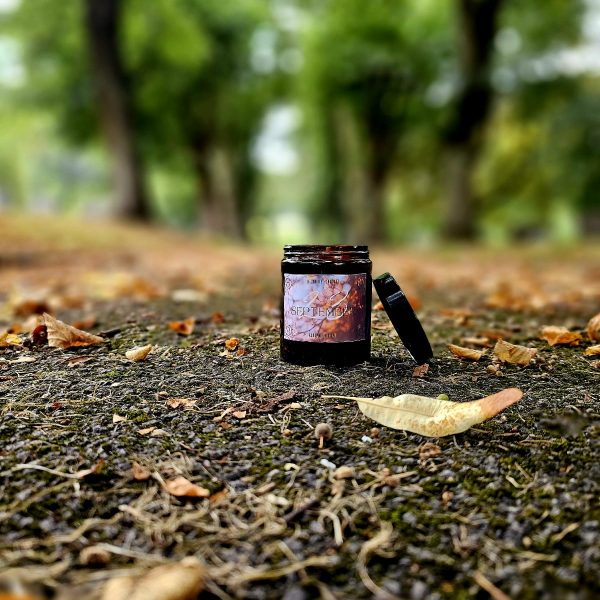 Autumn Edition Candles - Image 4